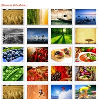 A good gallery plugin for WordPress