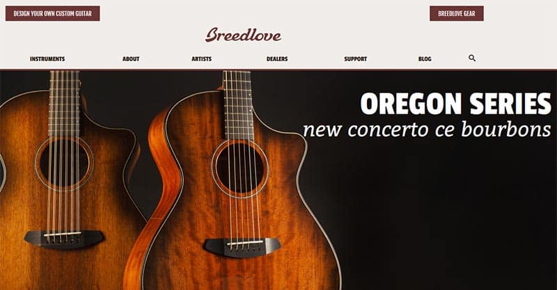 Best Acoustic Guitars Under $1000, $500, $300, $2000 & $200
