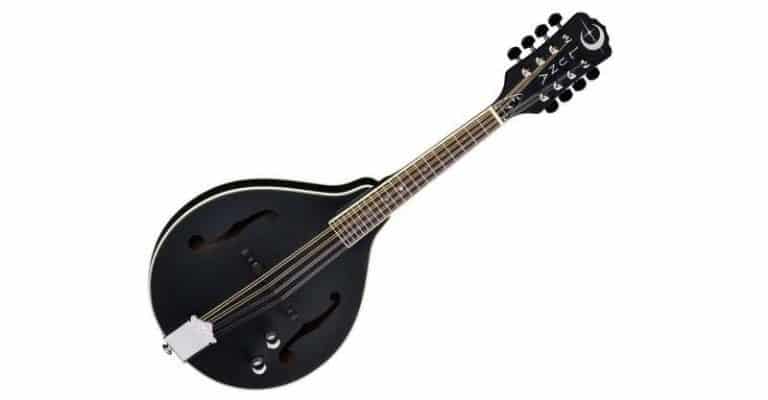 5 Best Electric Mandolins For Beginners 2023