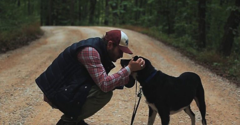 31 Best Funeral Songs For Dogs