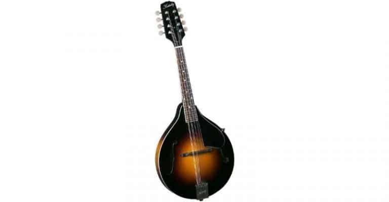 7 Best Mandolins 2023