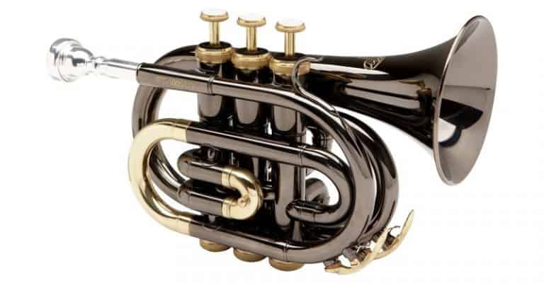 12 Best Pocket Trumpets 2023; We Review The Top Brands For The Money