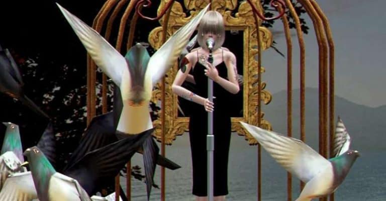 29 Best Songs About Birds