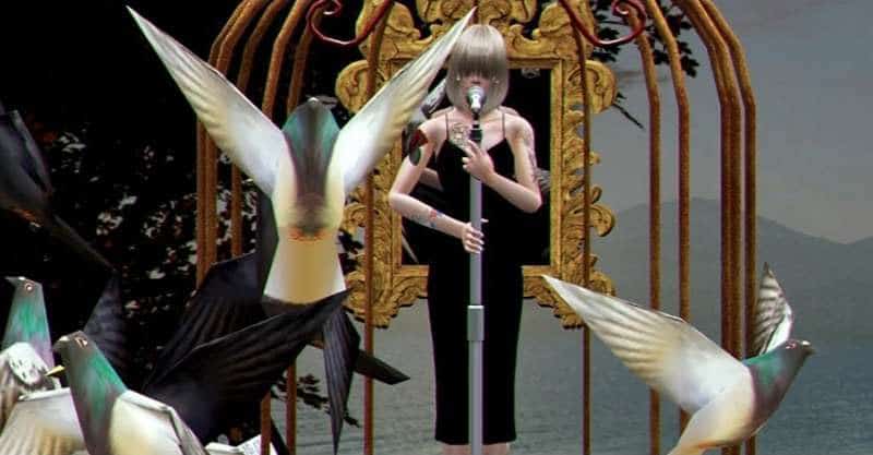 Best Songs About Birds