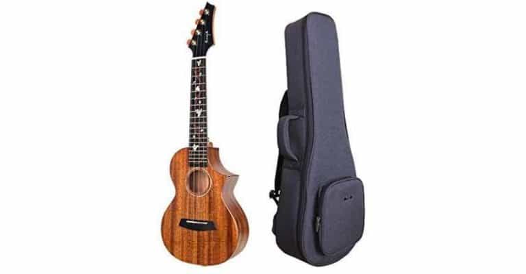 10 Best Tenor Ukuleles 2023