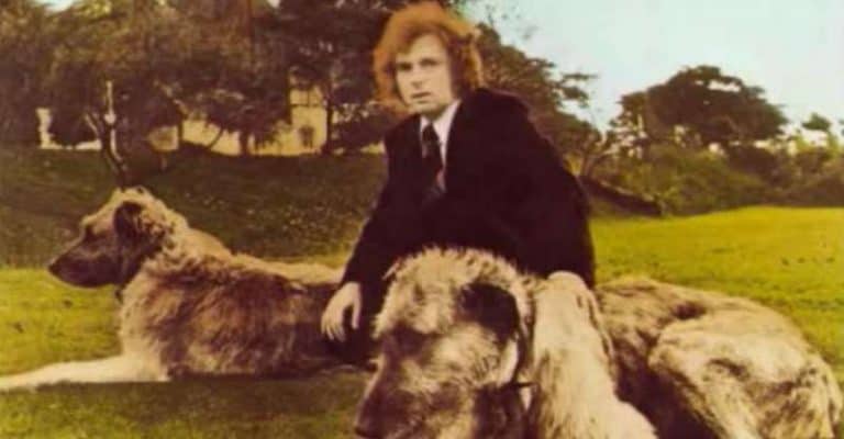 27 Best Van Morrison Songs
