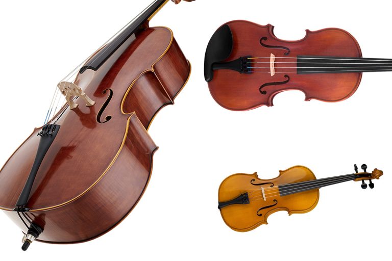 14 Best Violin Brands Ever