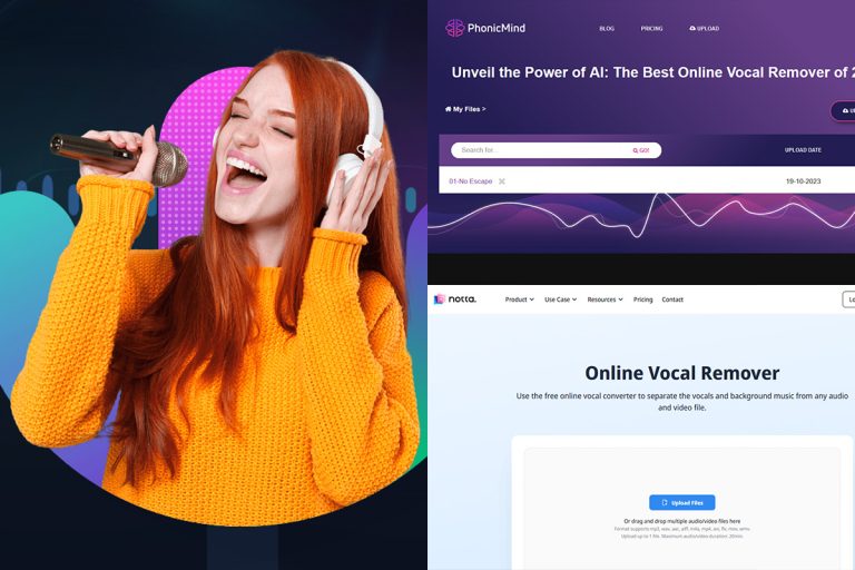 14 Best Vocal Removers