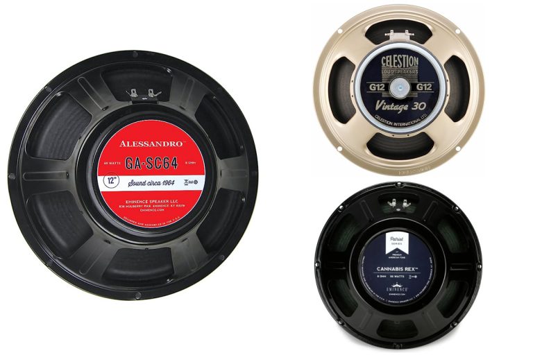 9 Best 12-Inch Guitar Speakers 2023