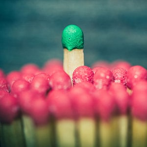 Module 5 - Your Brand And Your USP - Pro Musician Transformation Course