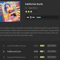 Music Player For WordPress