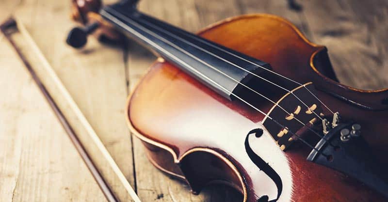 Stringed instruments
