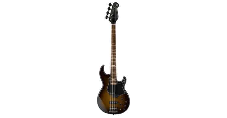 3 Best Bass Guitars Under $1000 – 2023