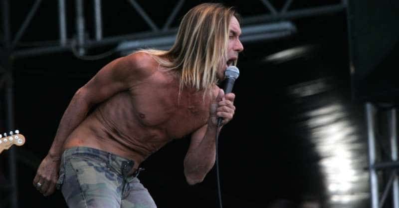 Top Punk Musicians