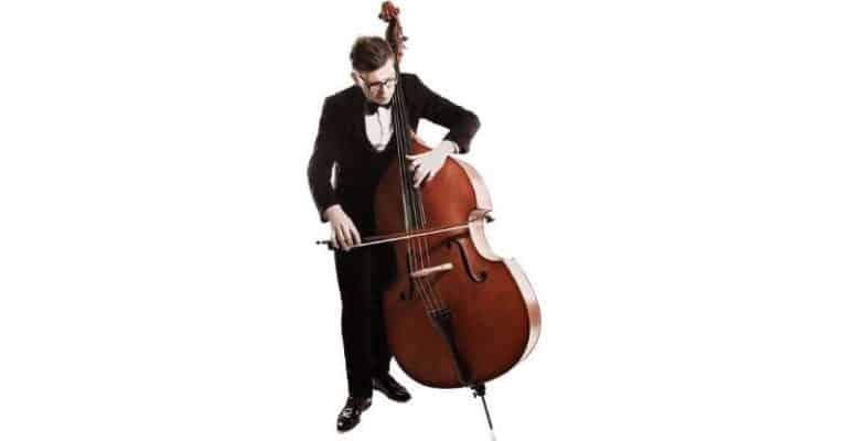 What Is A Bass Violin? Definition Revealed